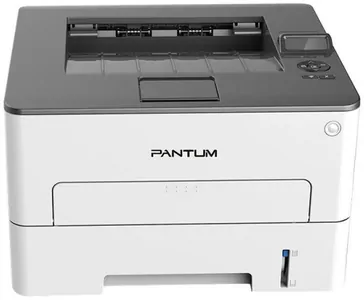Замена прокладки на принтере Pantum P3300DW в Тюмени